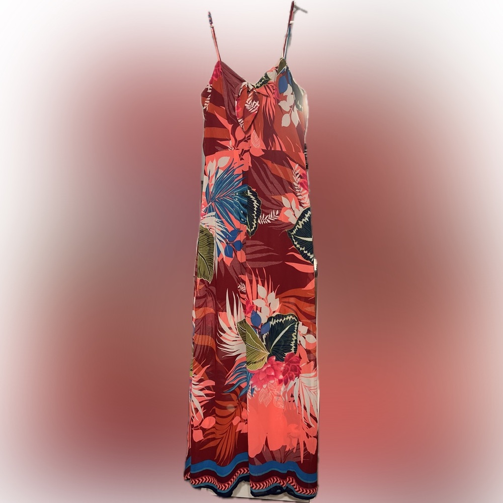 NWT Express Floral Maxi Dress